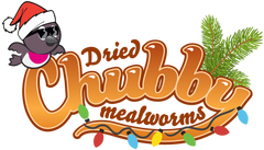 Chubby Mealworms Australia