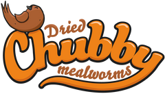 Chubby Mealworms Australia