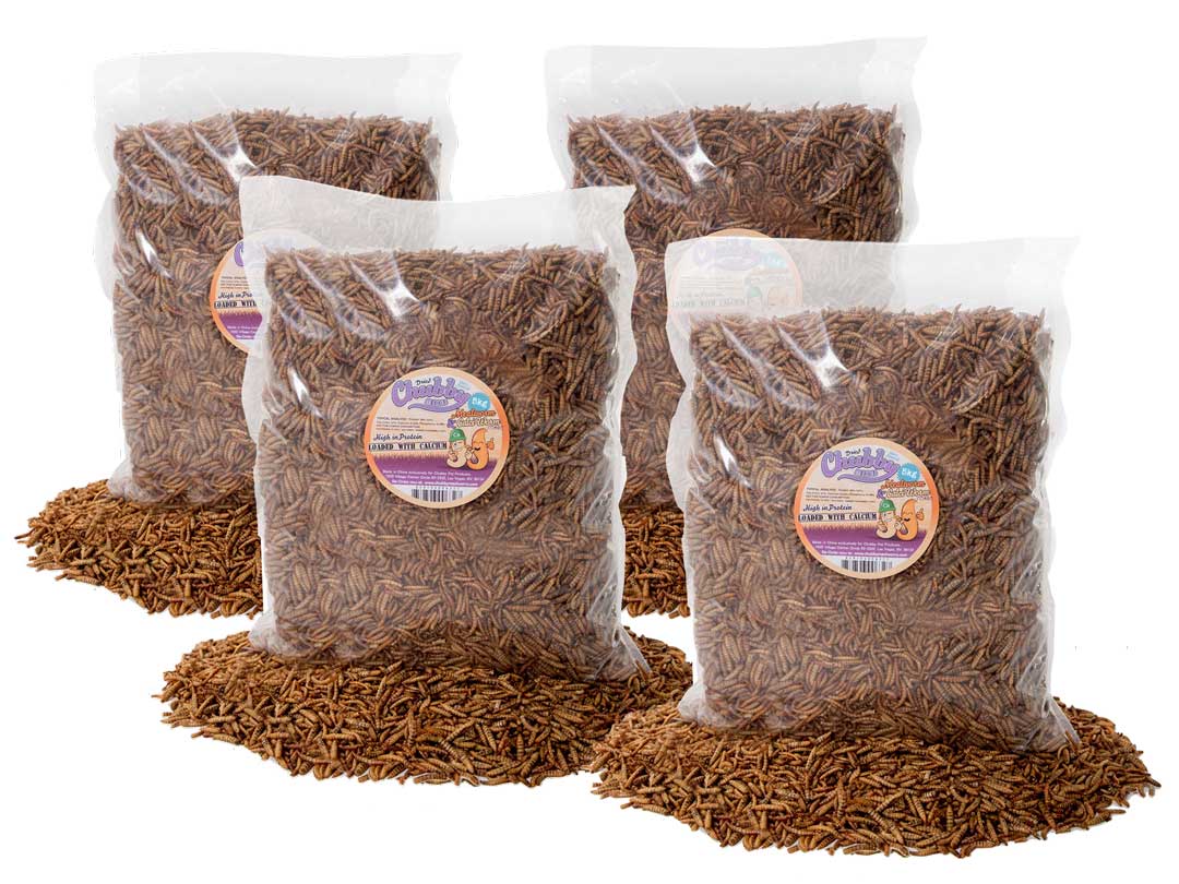 20Kg Chubby Dried Mealworm & Black Soldier Fly Mix Chubby Mealworms