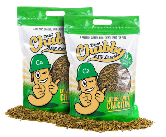 2Kg Chubby Dried Black Solider Fly Larvae