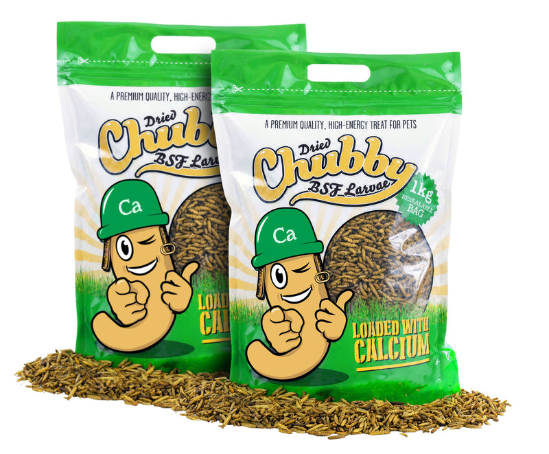 2Kg Chubby Dried Black Solider Fly Larvae