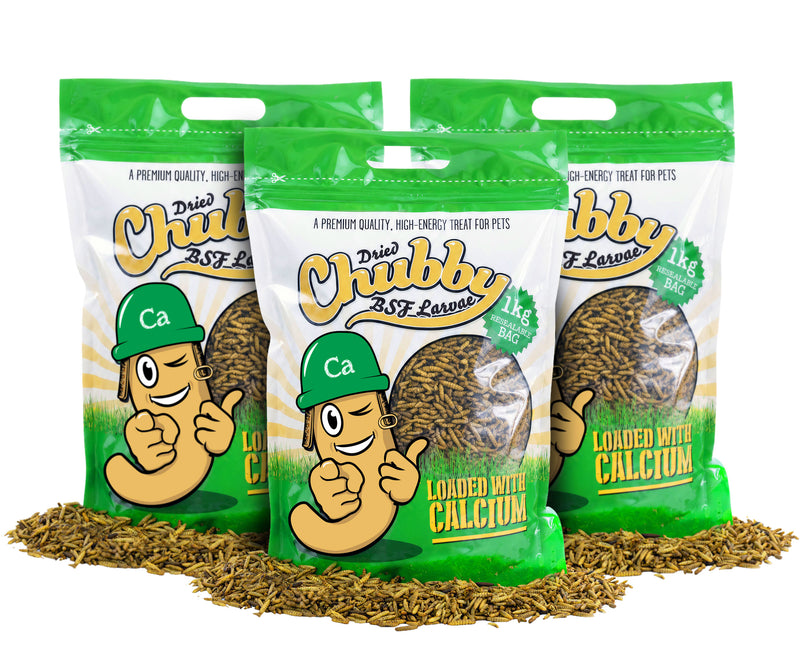 3Kg Chubby Dried Black Solider Fly Larvae