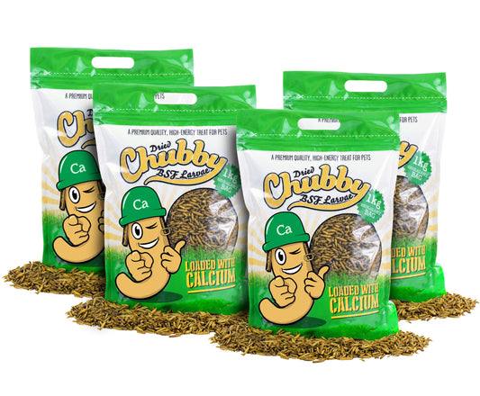 4Kg Chubby Dried Black Soldier Fly Larvae