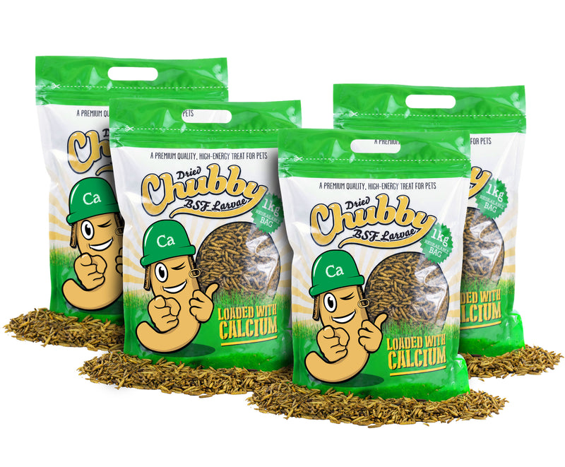 4Kg Chubby Dried Black Soldier Fly Larvae