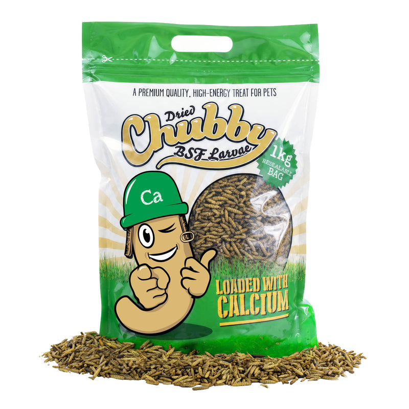 1Kg Chubby Dried Black Solider Fly Larvae