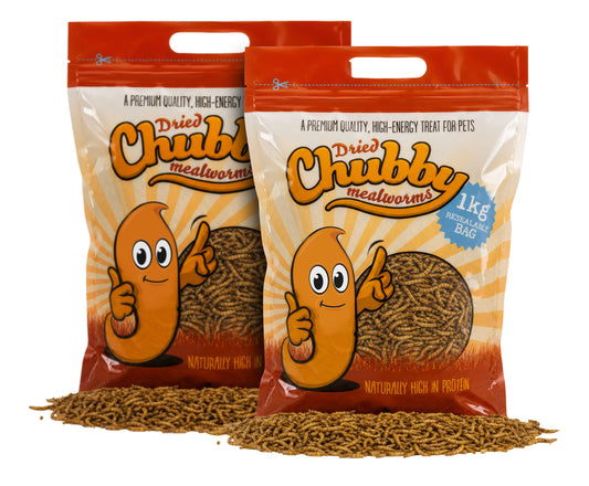 2Kg Chubby Dried Mealworms