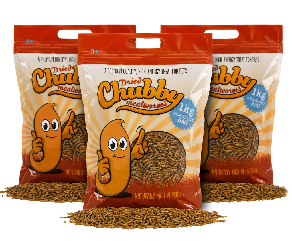 3Kg Chubby Dried Mealworms