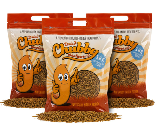 3Kg Chubby Dried Mealworms