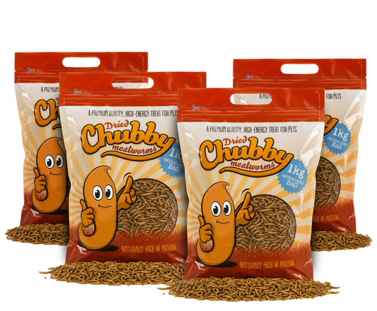 4Kg Chubby Dried Mealworms