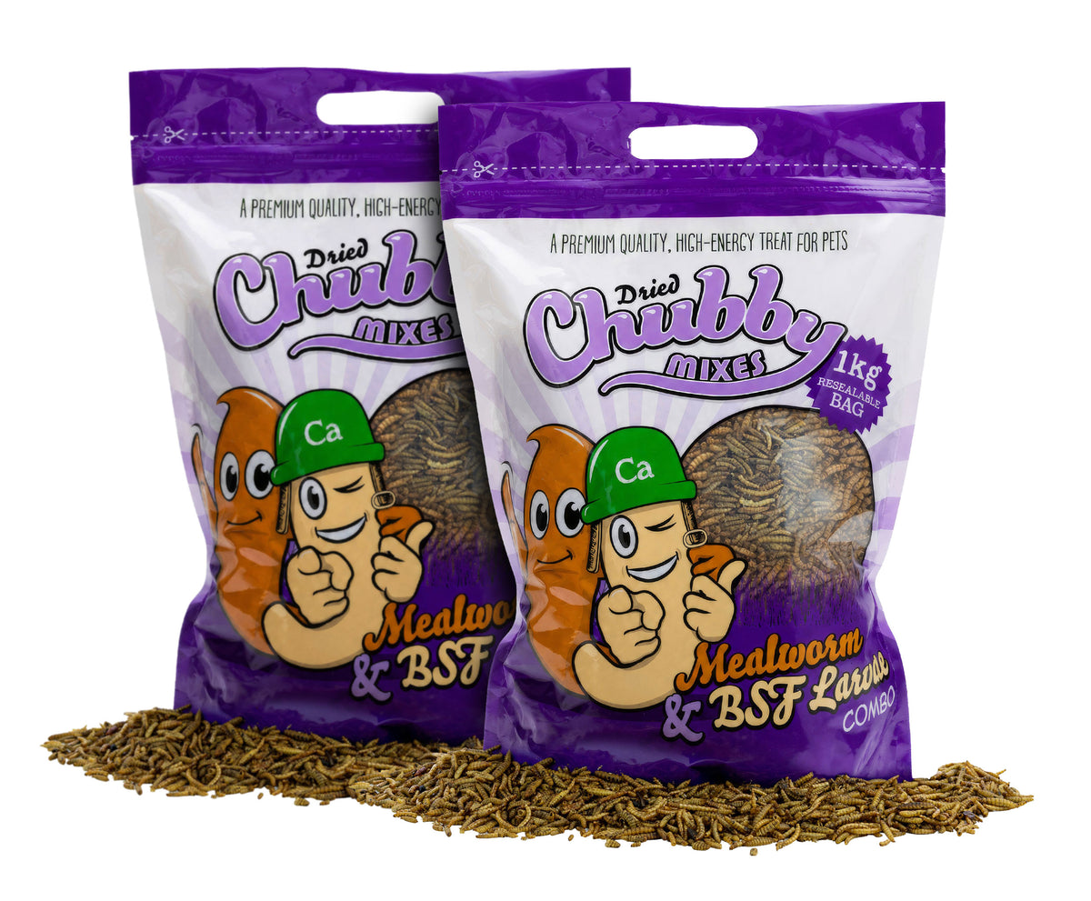 2Kg Chubby Dried Mealworm & Black Soldier Fly Mix