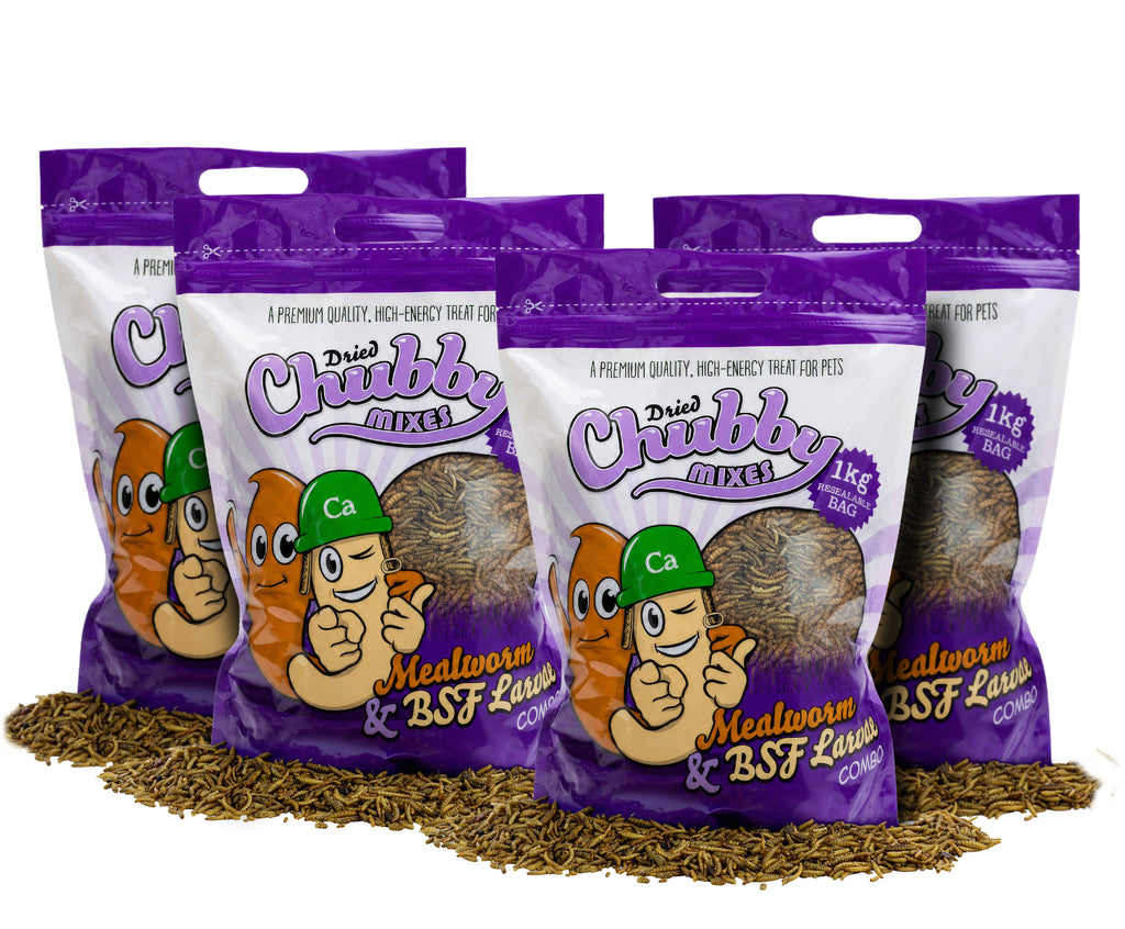 4Kg Chubby Dried Mealworm & Black Soldier Fly Mix