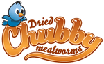 Chubby Mealworms Australia