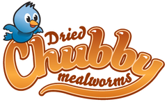 Chubby Mealworms Australia