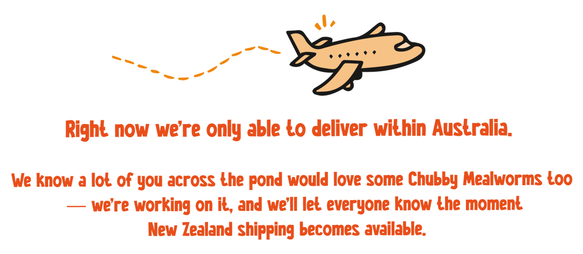 Right now we’re only able to deliver within Australia. We know a lot of you across the pond would love some Chubby Mealworms too — we’re working on it, and we’ll let everyone know the moment New Zealand shipping becomes available.