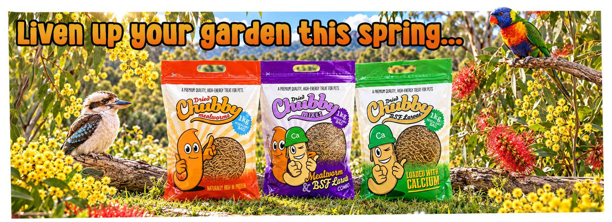 Liven up your garden this Spring with our high-protein treats!