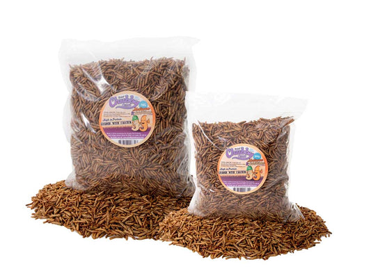 1.5Kg Chubby Dried Mealworm & Black Soldier Fly Mix