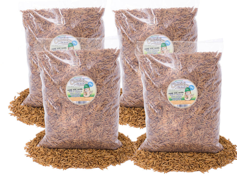 20Kg Chubby Dried Black Solider Fly Larvae
