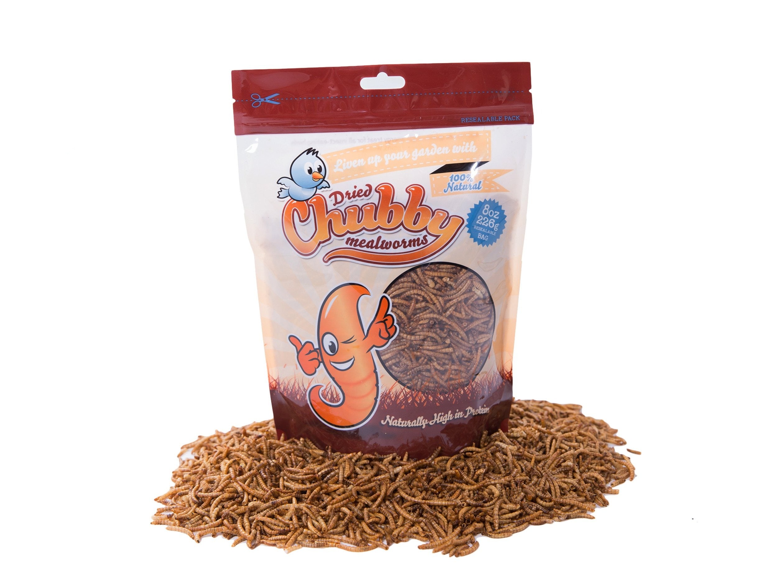 226g Chubby Dried Mealworms