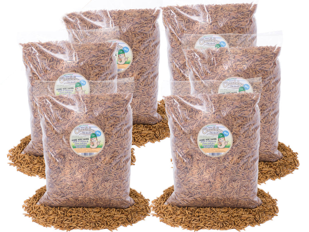 30Kg Chubby Dried Black Soldier Fly Larvae
