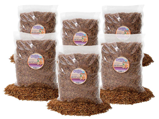 30Kg Chubby Dried Mealworm & Black Soldier Fly Mix