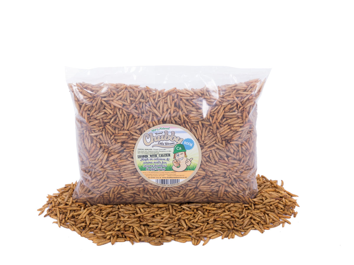 500g Chubby Dried Black Soldier Fly Larvae
