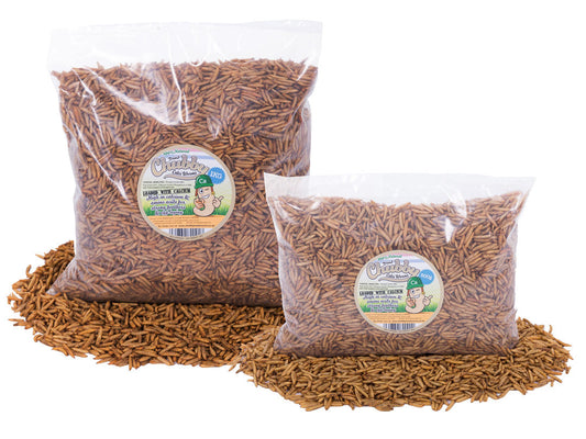 1.5Kg Chubby Dried Black Soldier Fly Larvae