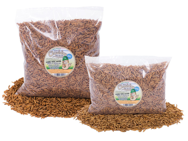 1.5Kg Chubby Dried Black Soldier Fly Larvae