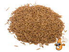 5Kg Chubby Dried Black Solider Fly Larvae