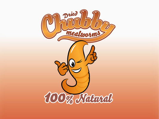 30Kg Chubby Dried Mealworms