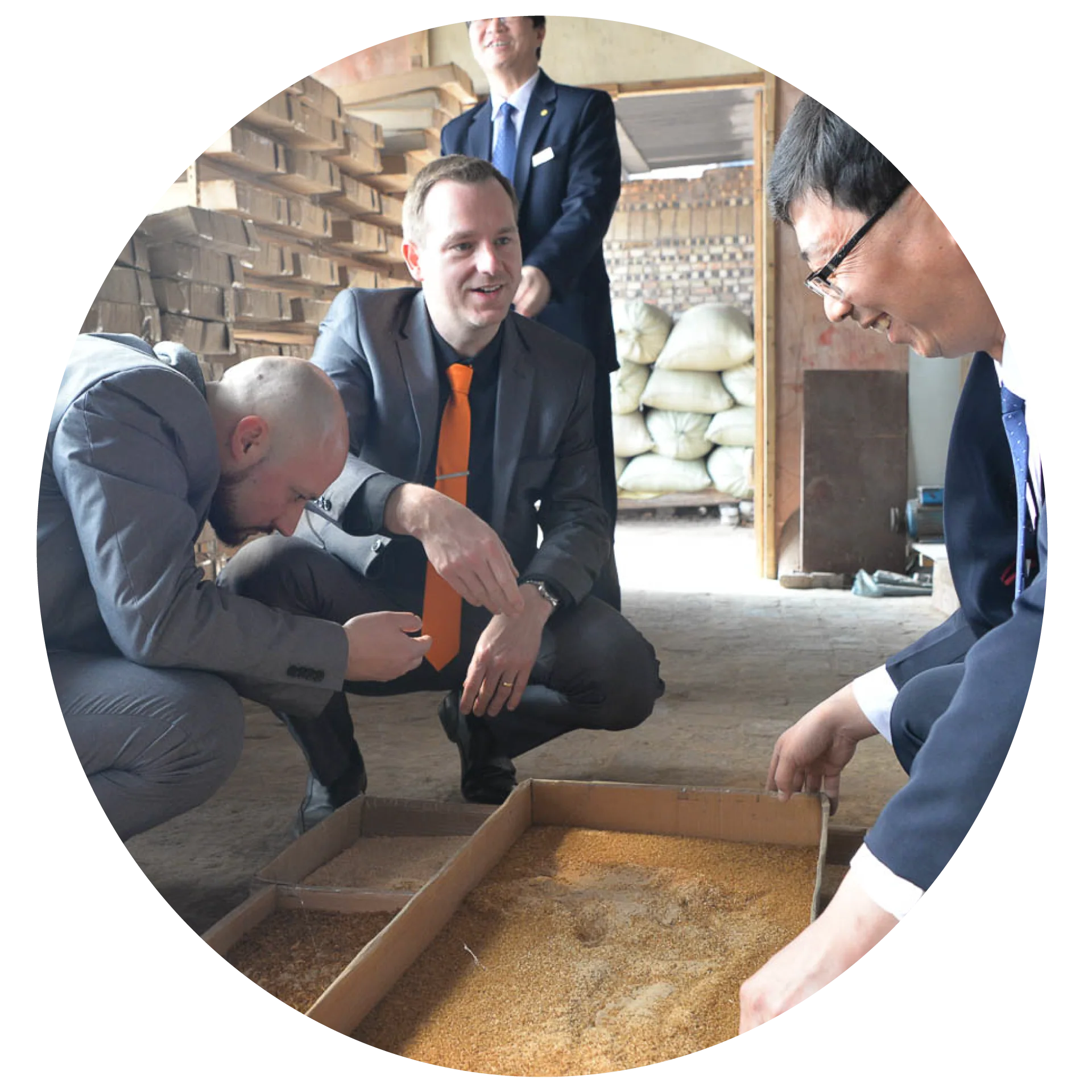 Inspecting mealworm trays with our supplier