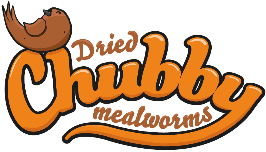 Chubby Mealworms Australia